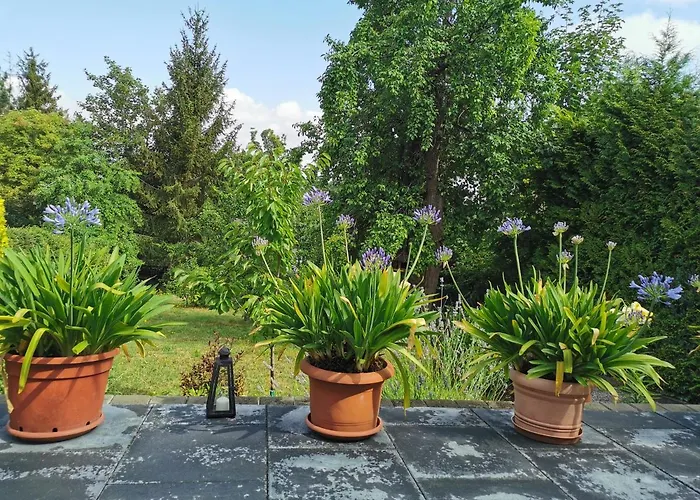 Appold Hébergement de vacances Wernigerode